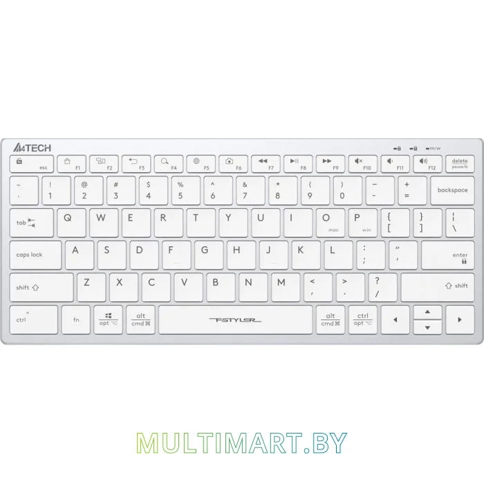 Клавиатура A4Tech Fstyler FX51 (серебристый/белый)